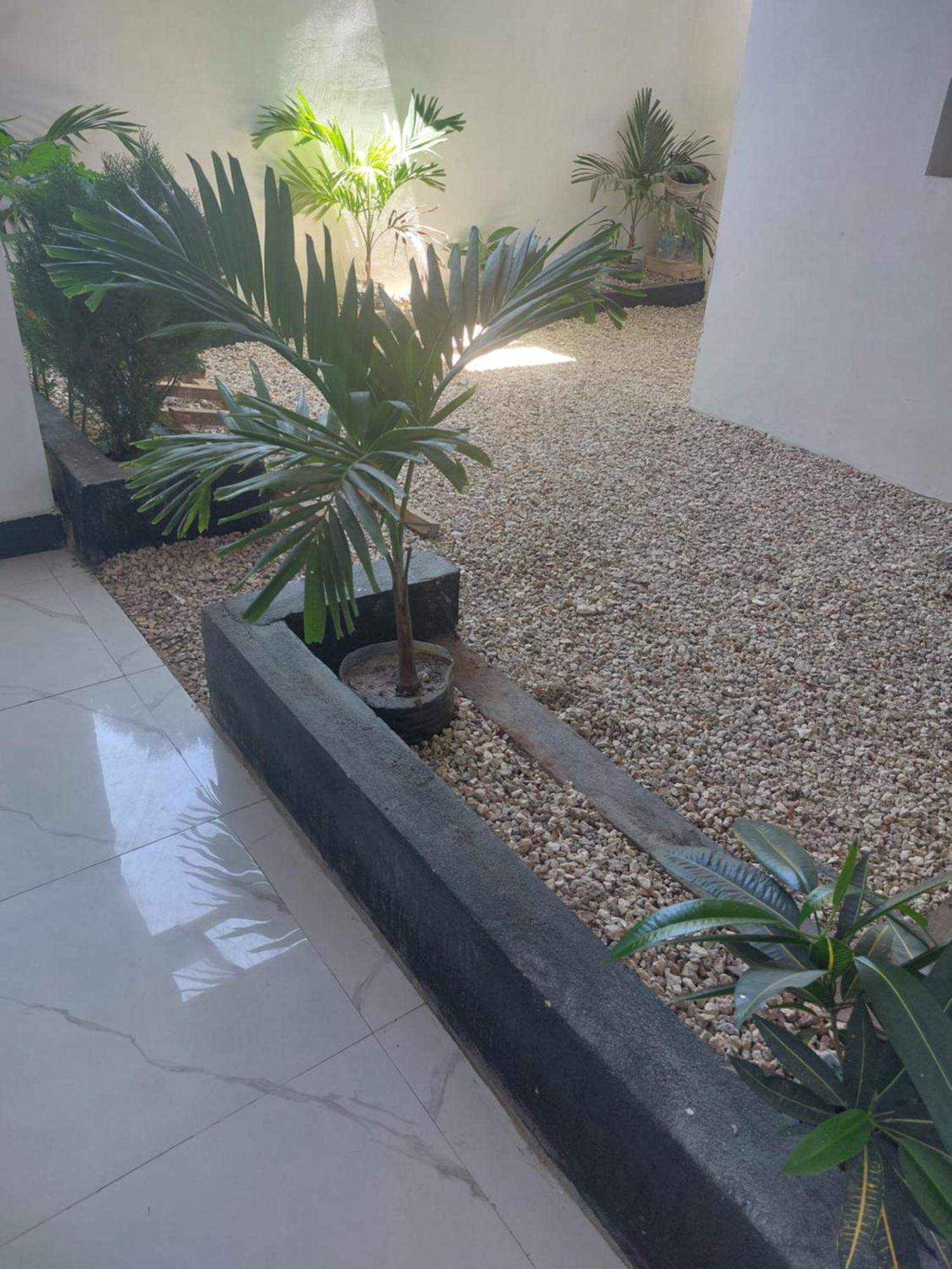 Zansi Beach House Nungwi Exterior photo